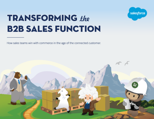eBook: Transforming the B2B Sales Function