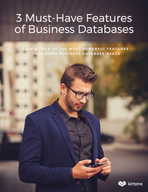 3 Must-Have Features of Business Databases eBook