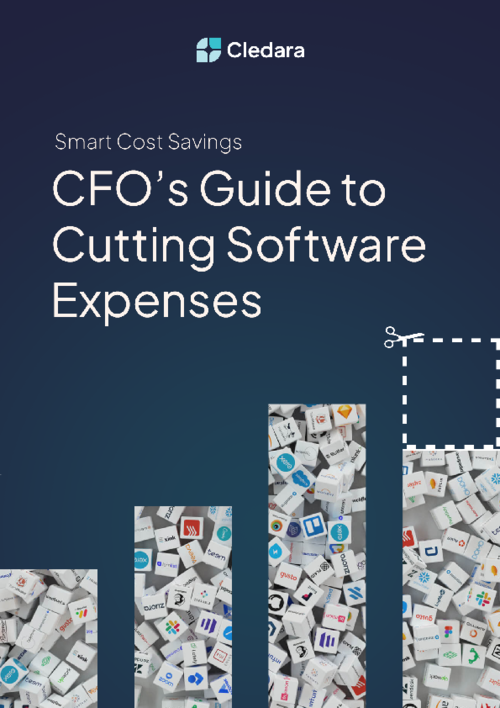 CFO's Guide to Cutting Software Expenses