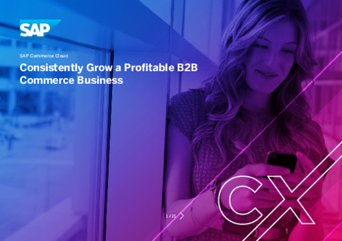 Solution Brief: Consistently Grow a Profitable B2B Commerce Business