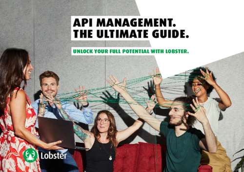 API Management: The Ultimate Guide
