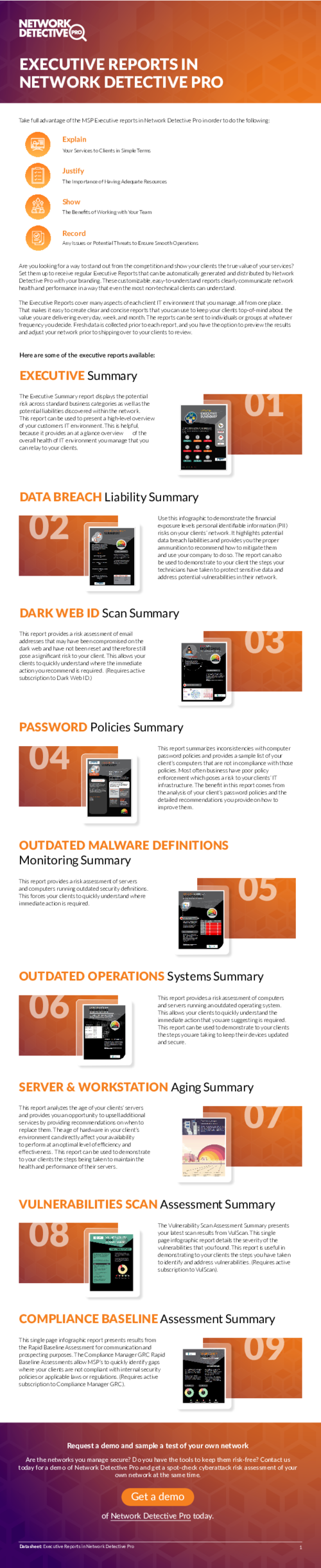 Network Detective Pro Executive Reports for MSPs