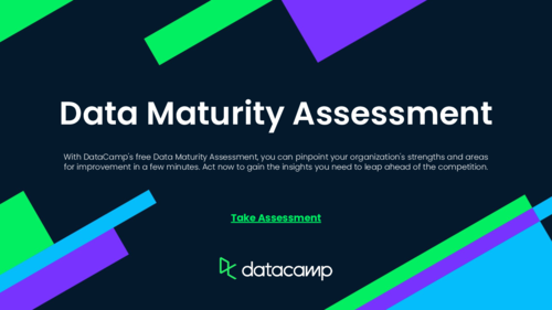 Data Maturity Assessment