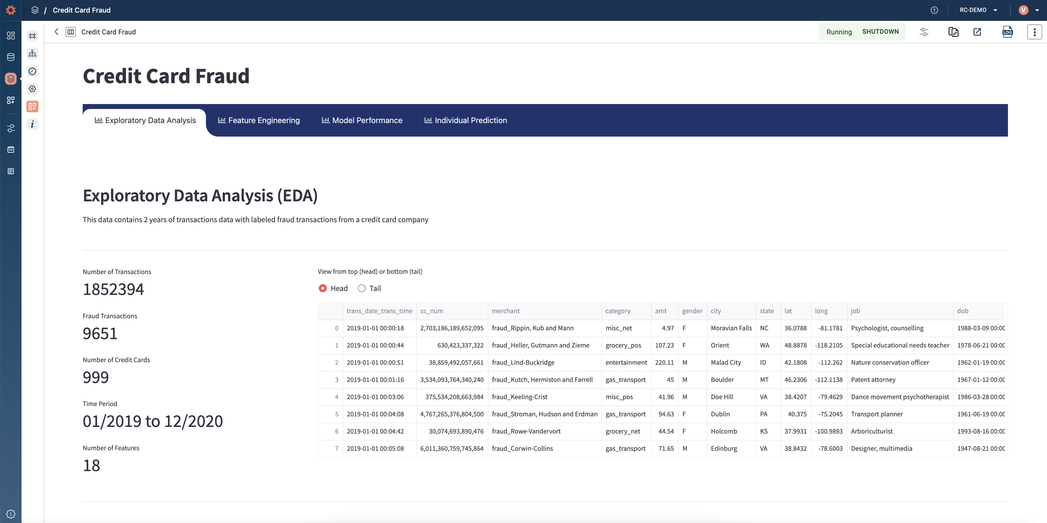 RapidCanvas screenshot 4