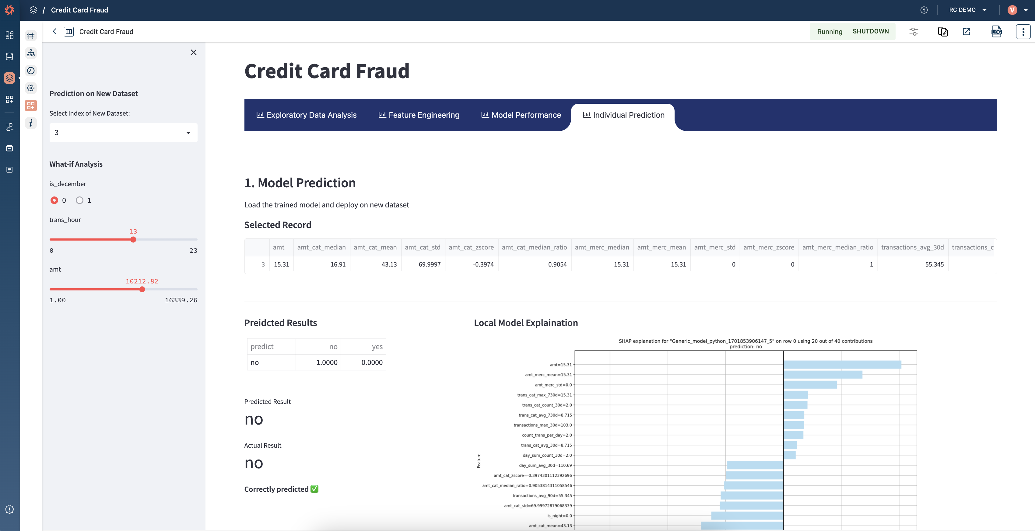 RapidCanvas screenshot 6