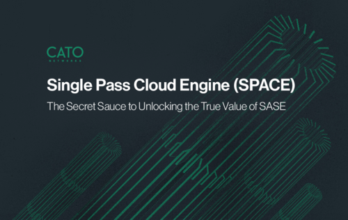 (SPACE)- The secret sauce to unlocking the true value of SASE