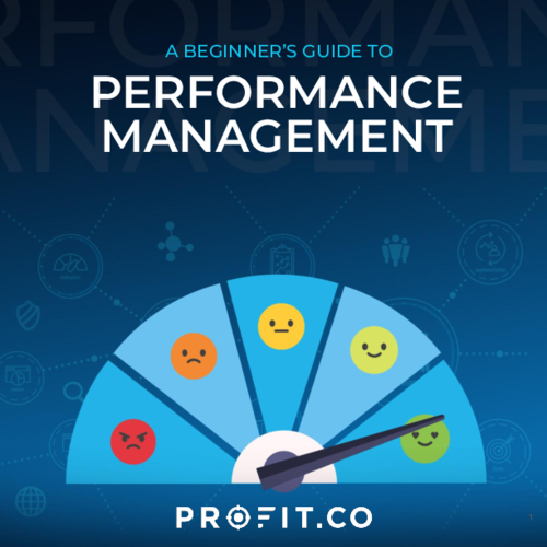 A Beginner’s Guide to Performance Management