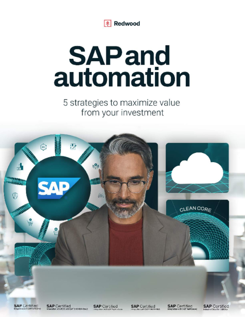 Maximum ROI from your SAP solutions
