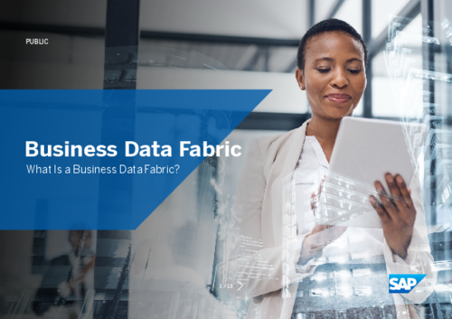 What is a Business Data Fabric?