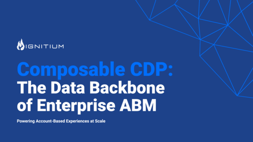 Ignitium Composable CDP