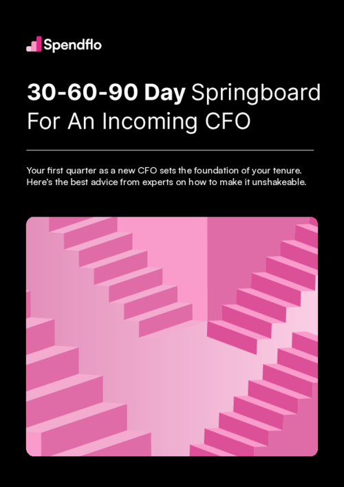 30-60-90 Day Springboard For An Incoming CFO Ebook
