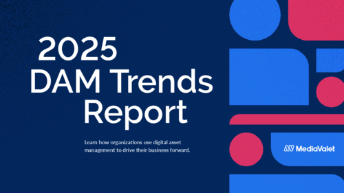 2025 DAM Trends Report