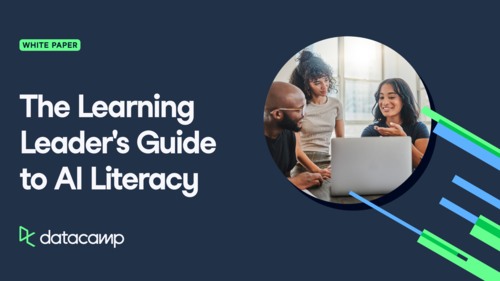 The Learning Leader's Guide to AI Literacy
