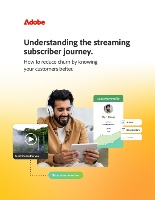 Understanding the streaming subscriber journey