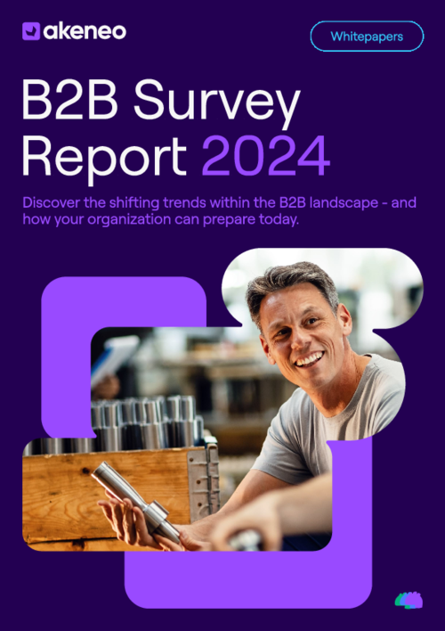 B2B Survey Report 2024