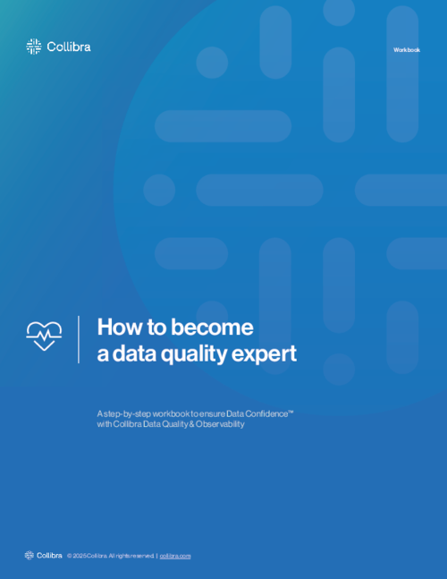 Workbook: How to become a data quality expert