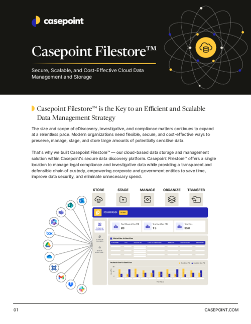 Casepoint Filestore