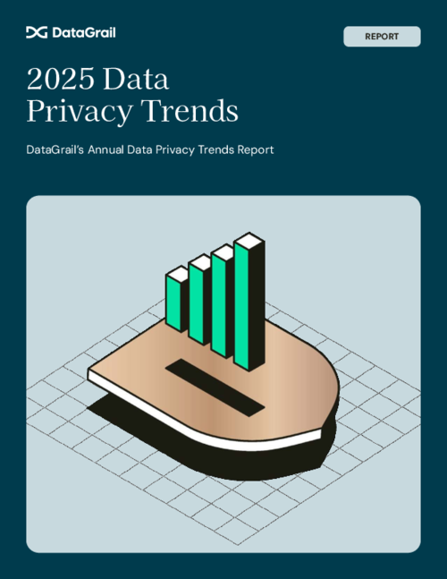 2025 Data Privacy Trends Report