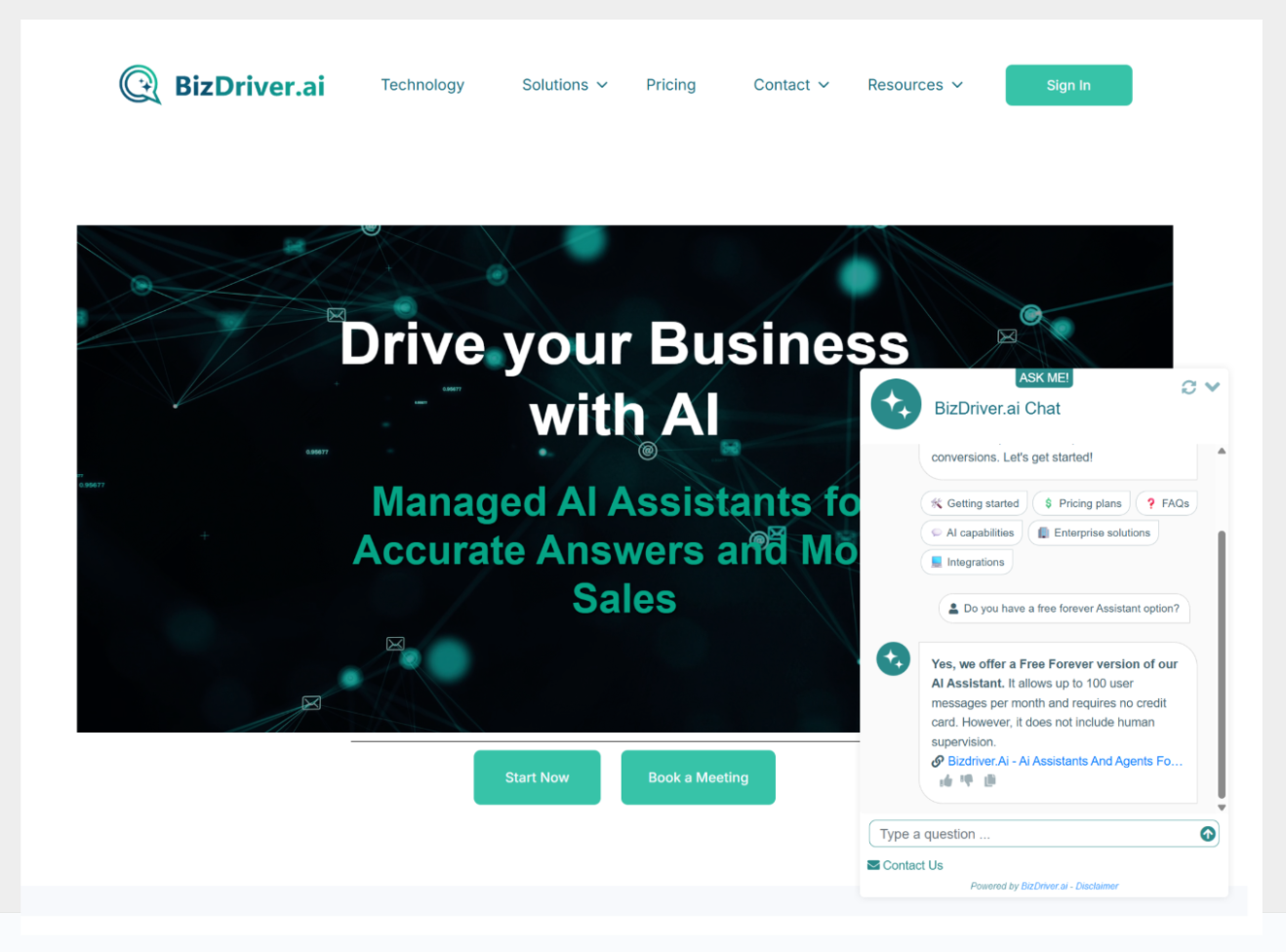 BizDriver.ai preview