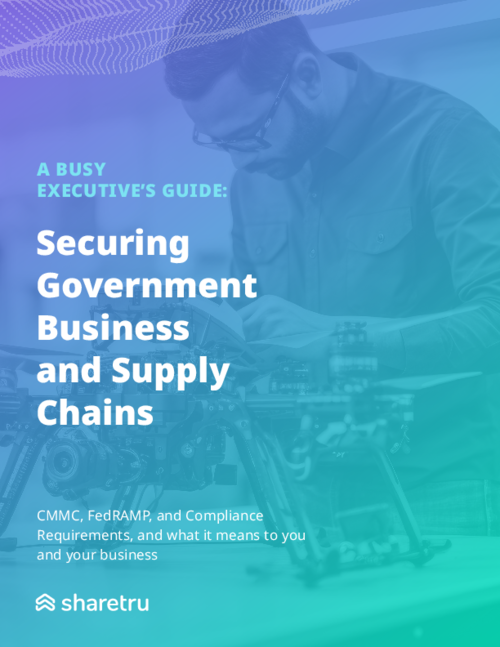 A Busy Executive's Guide to Securing Government Business & Supply Chains