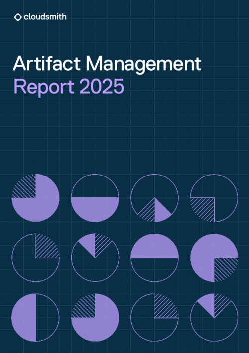 2025 State of Artifact Management
