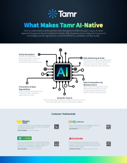 What Makes Tamr AI-Native