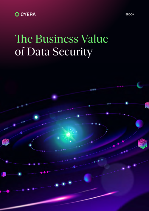 The Business Value of Data Security