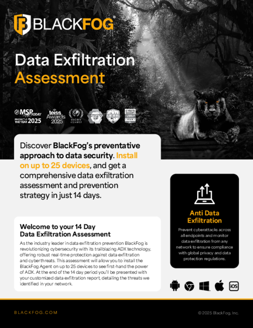 Data Exfiltration Assessment