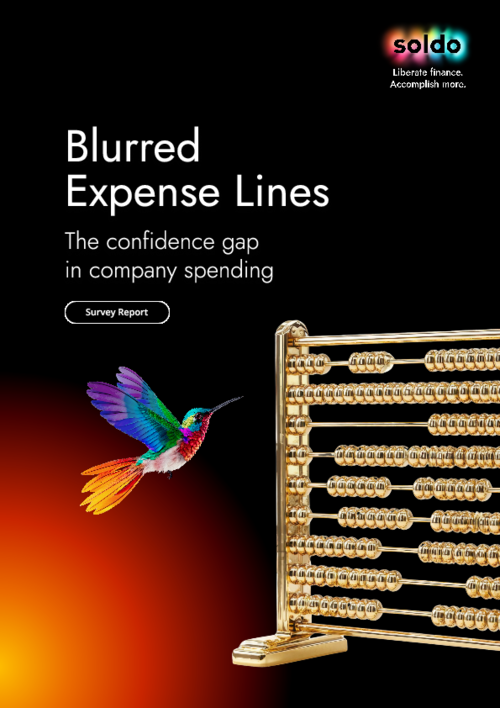 Blurred Expense Lines report