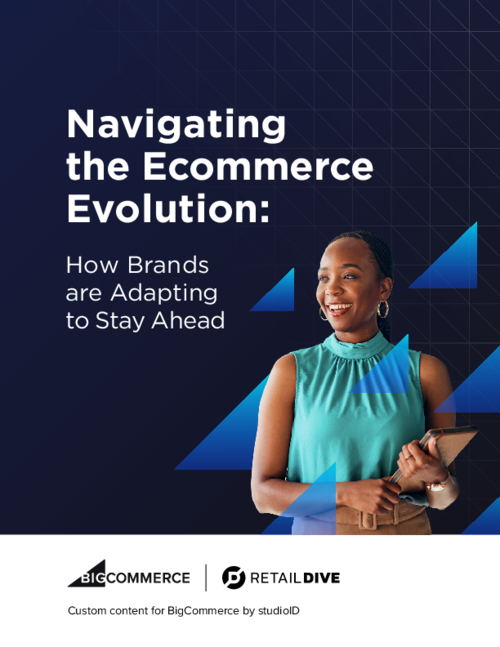 Navigating the Ecommerce Evolution: How Brands are Adapting to Stay Ahead