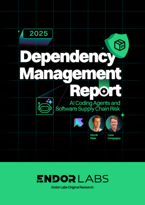 Dependency Management Report 2025