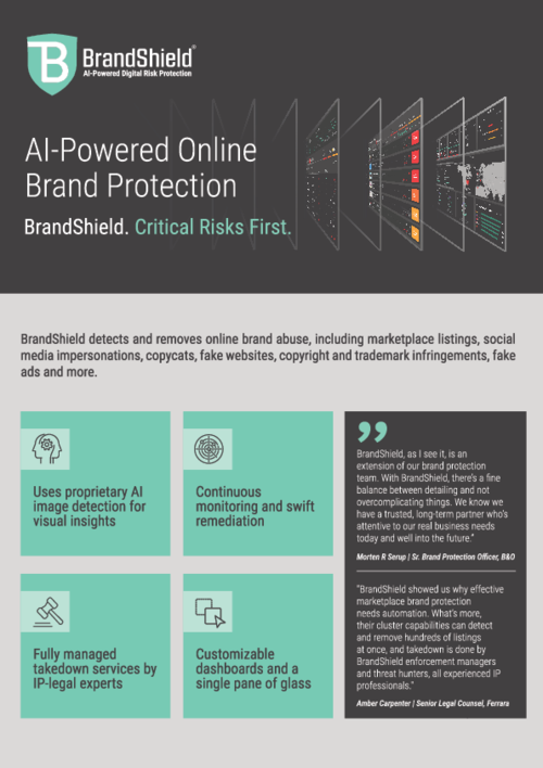 Online Brand Protecton Solution Overview