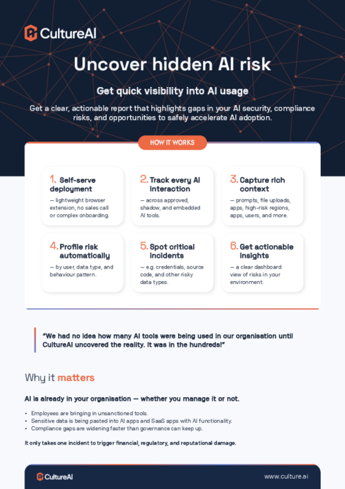 AI Risk Assessment Overview