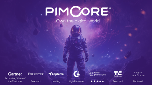 Pimcore Domains at a Glance