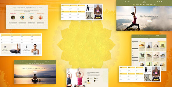 TransForm Solutions screenshot