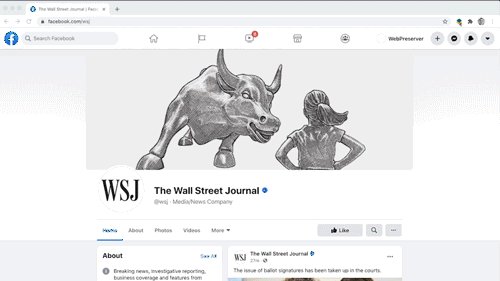 WebPreserver screenshot