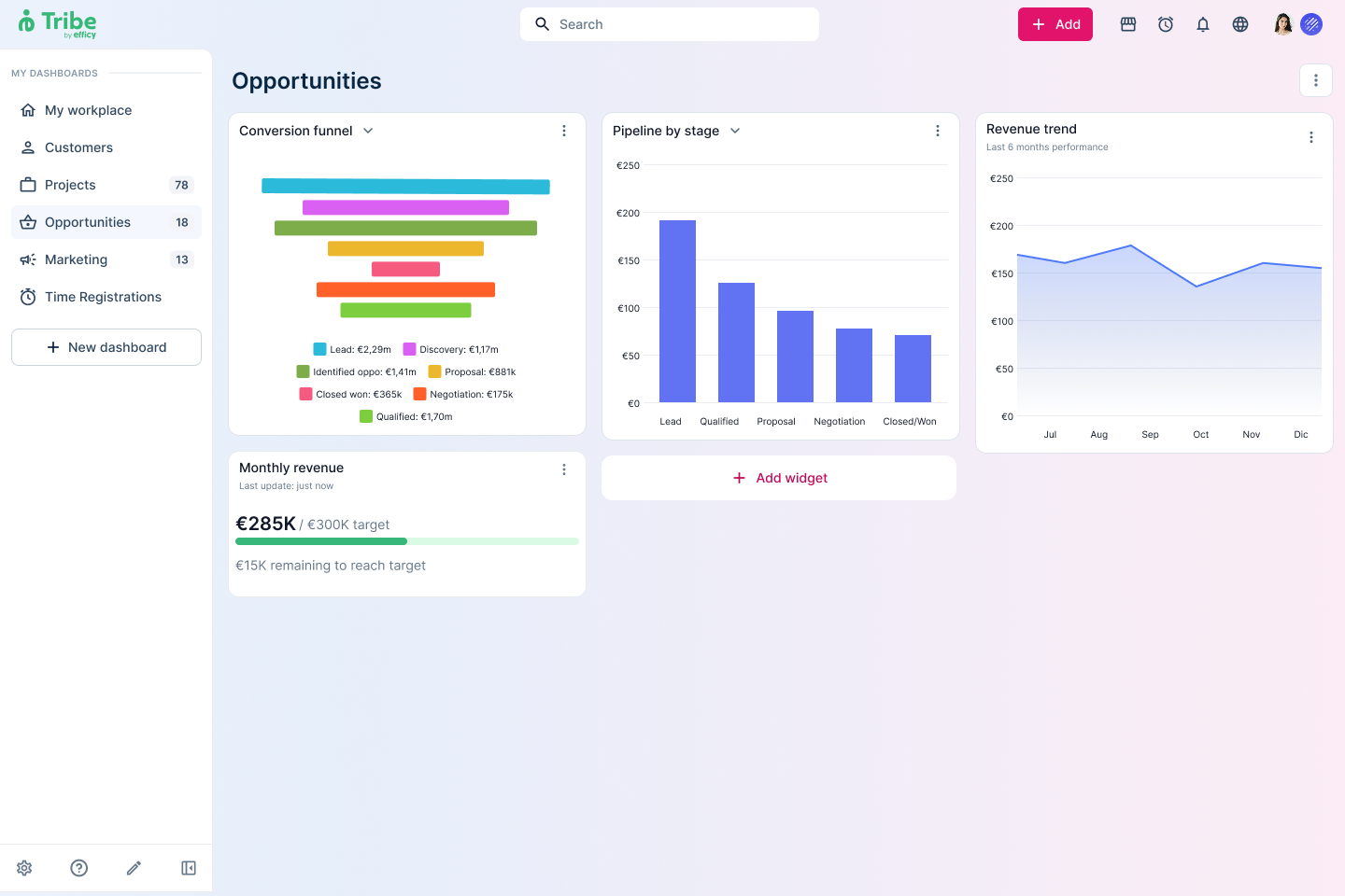 Tribe CRM screenshot