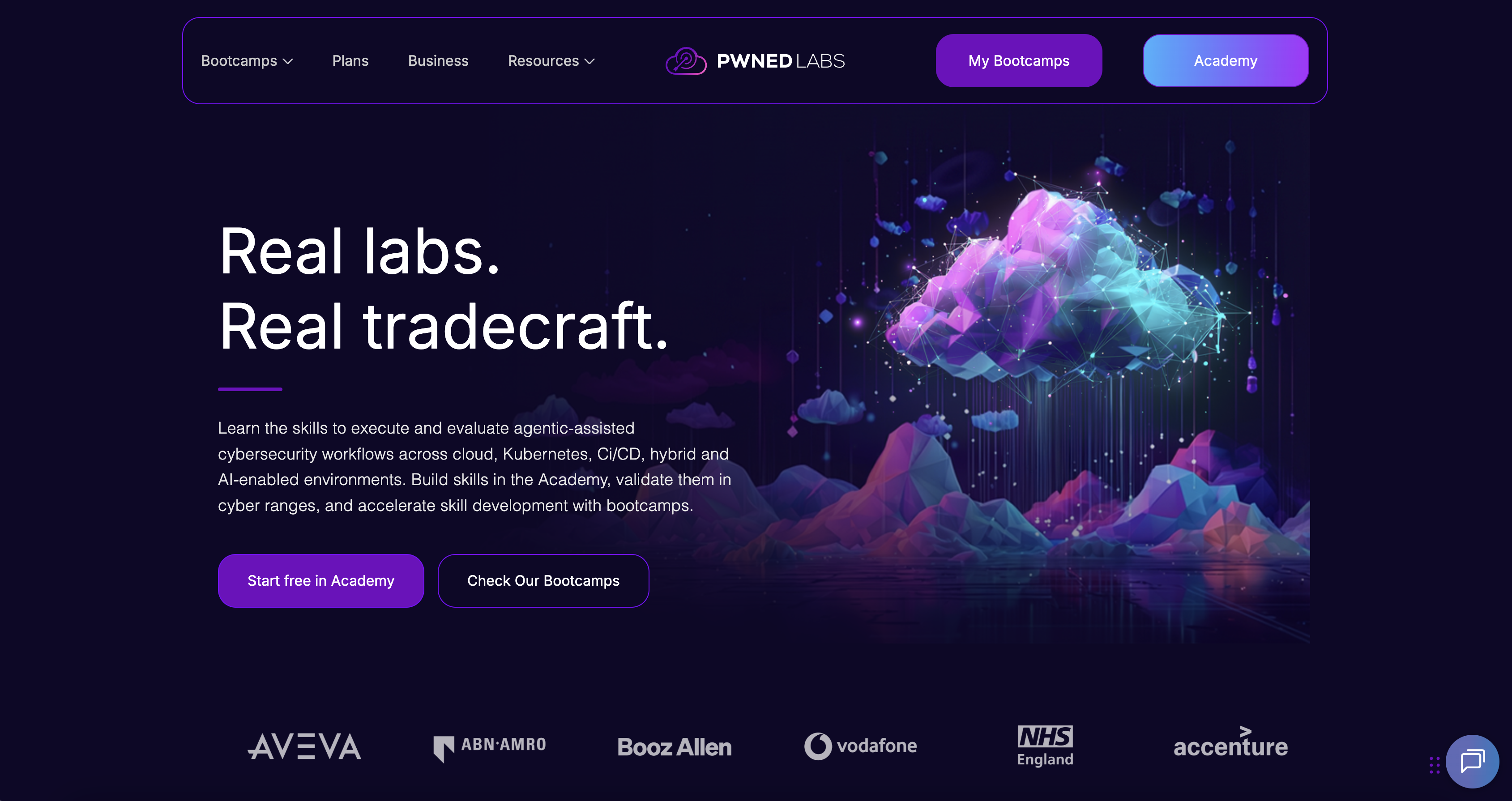 Pwned Labs screenshot