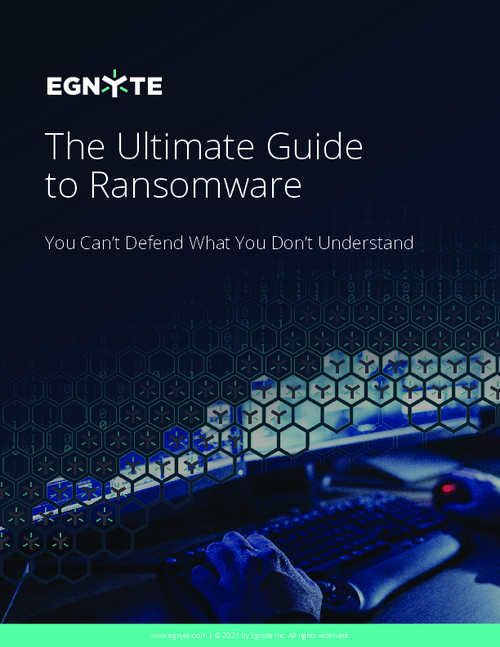 The Ultimate Guide to Ransomware