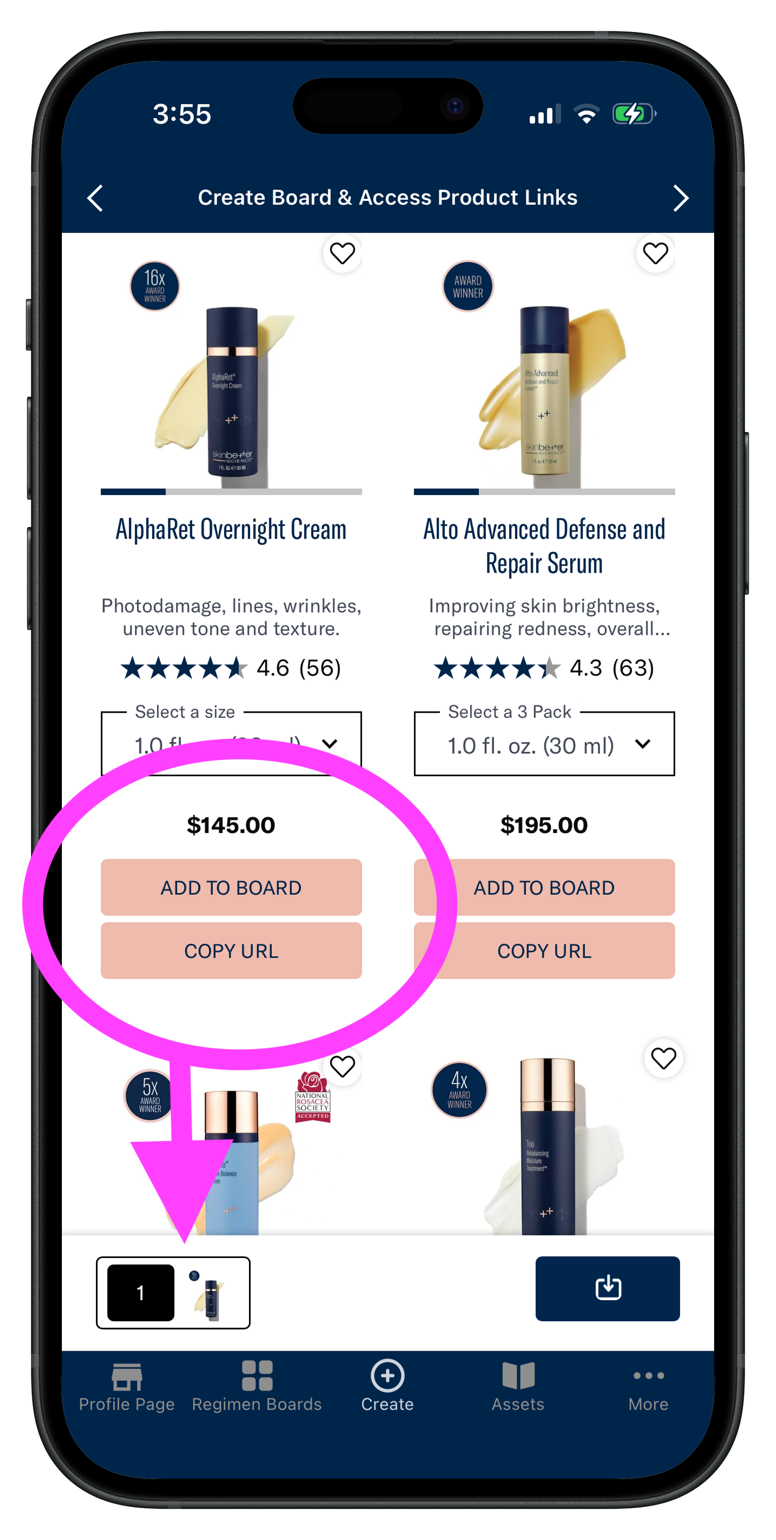Replika Software screenshot