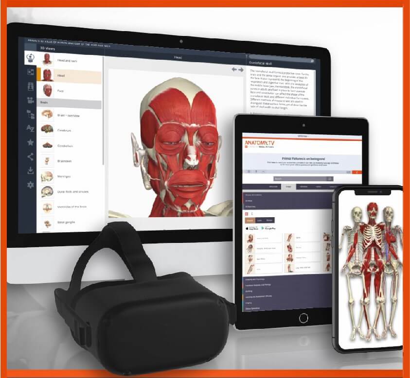 Anatomy.tv screenshot