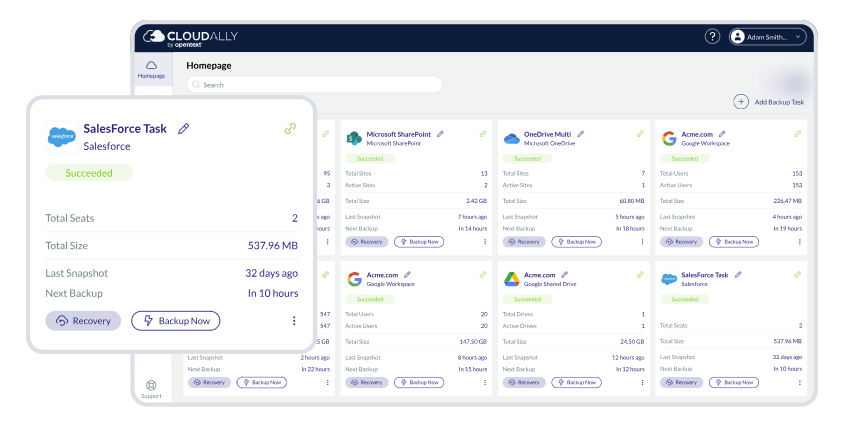 OpenText Cloudally Backup for Salesforce screenshot
