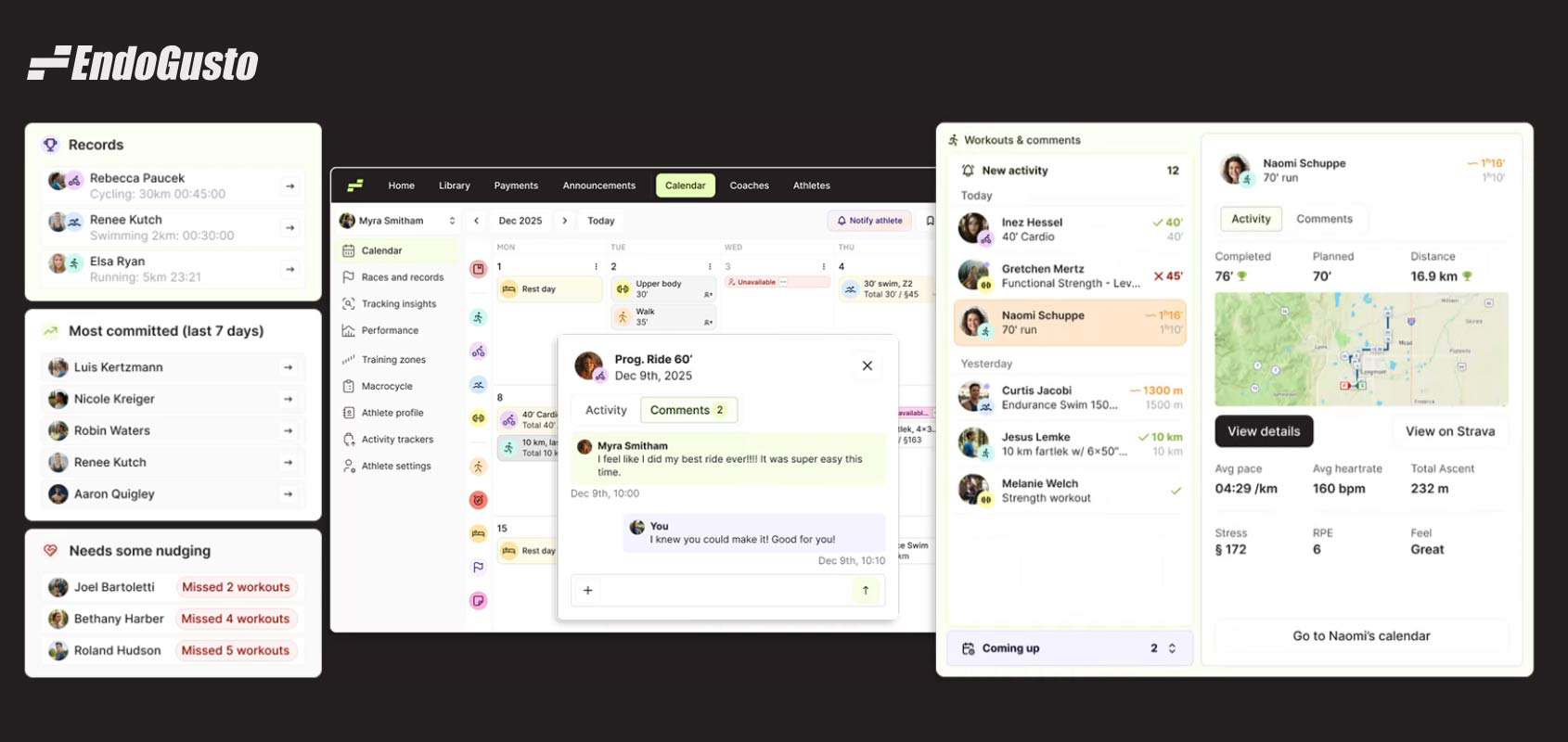 EndoGusto screenshot