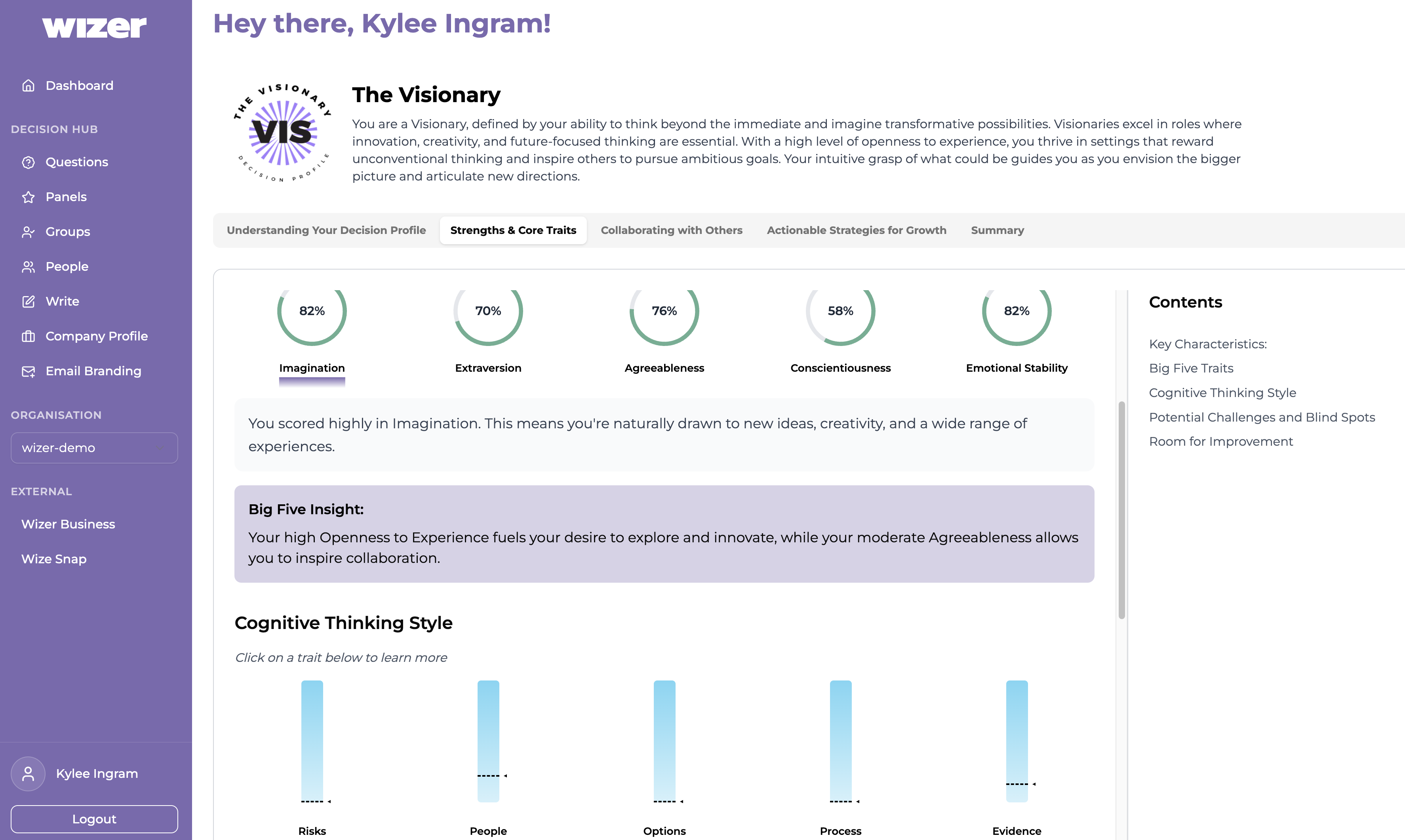 Wizer - Decision Science Platform screenshot