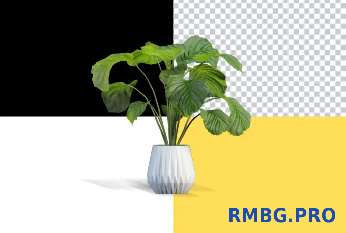 RMBG PRO screenshot