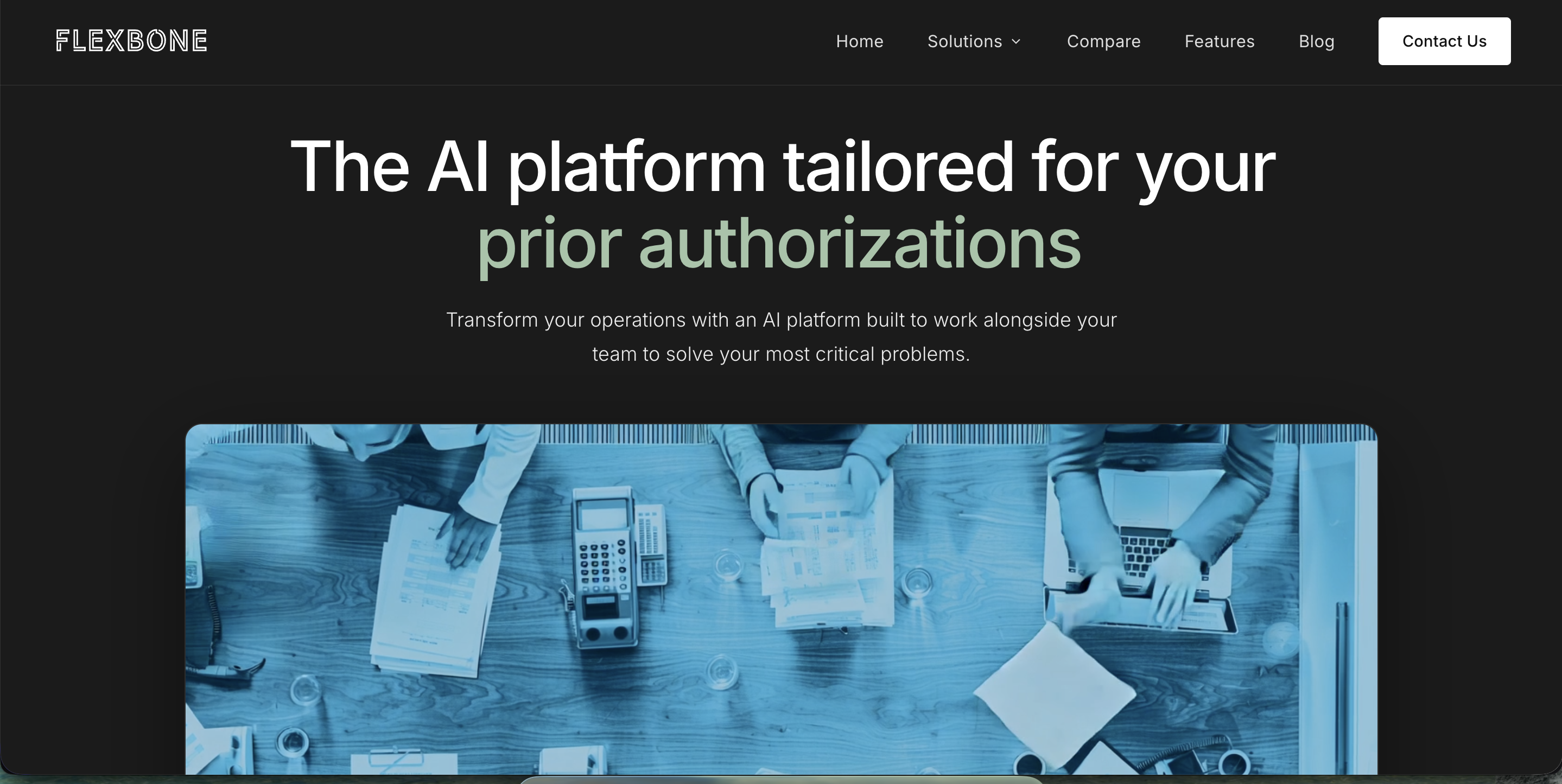 Flexbone screenshot