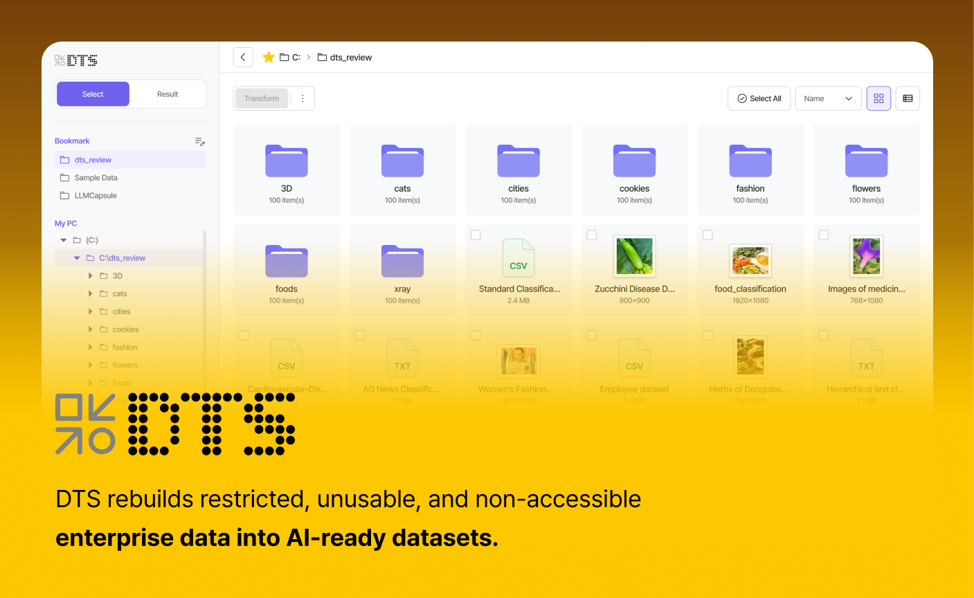 DTS screenshot