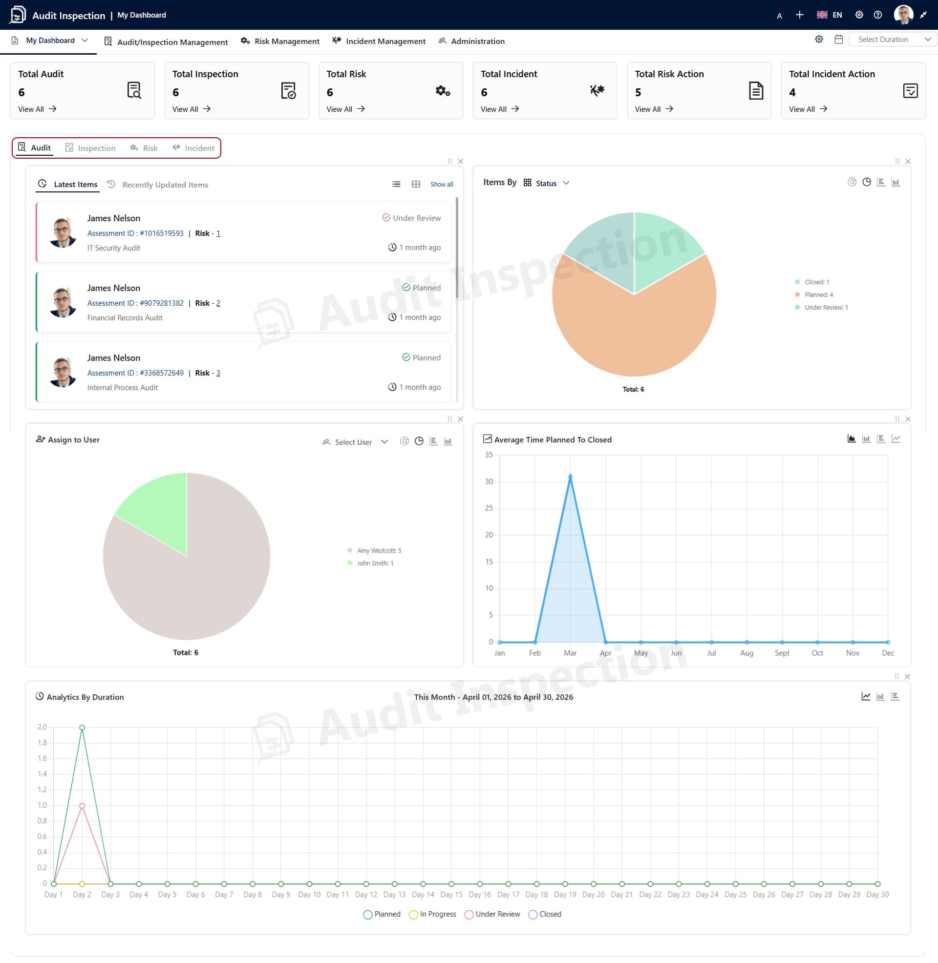 Audit Inspection screenshot