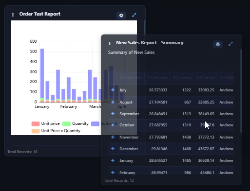Dotnet Report Builder screenshot