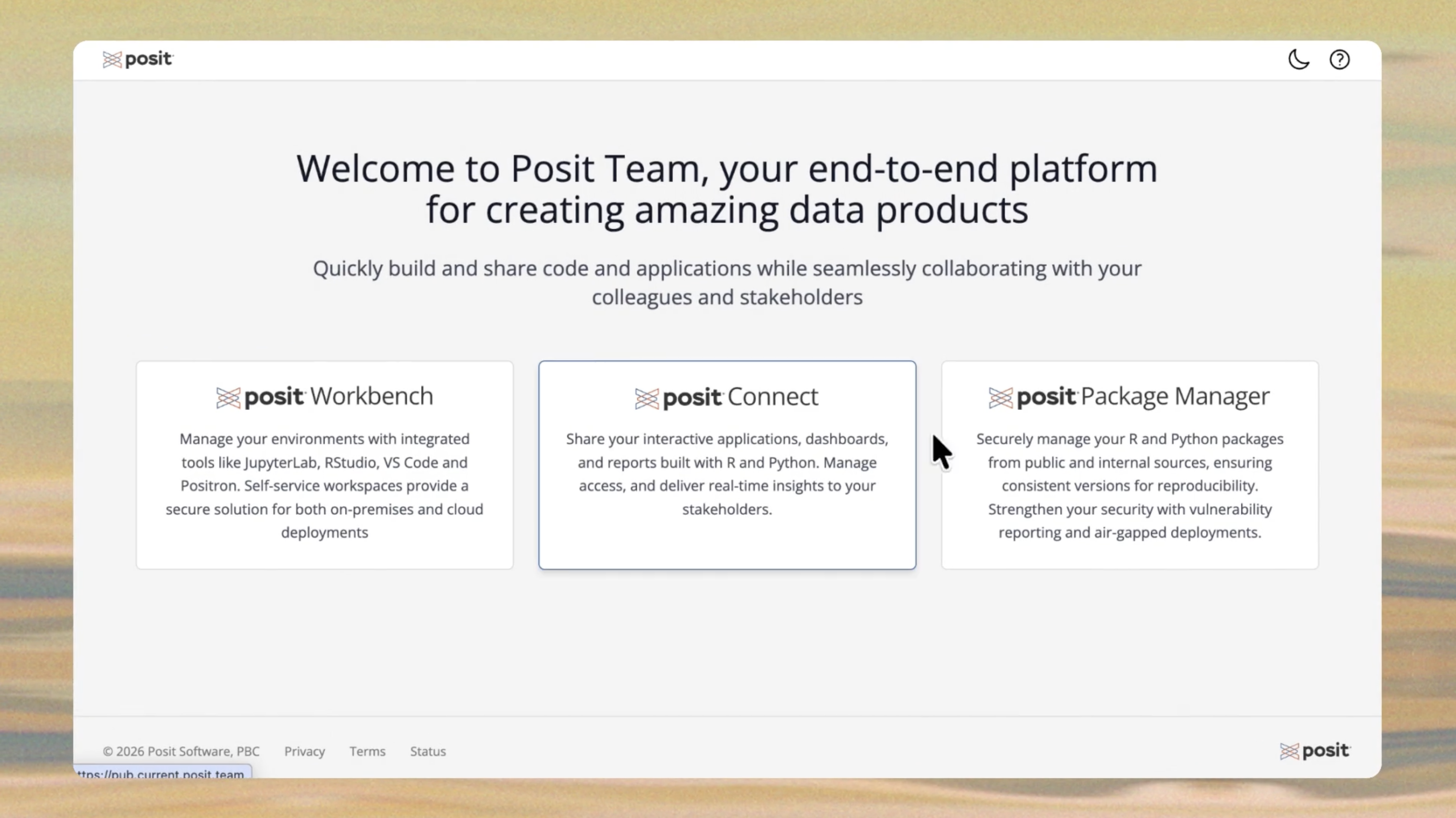 Posit Team screenshot